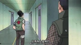 手鞠技能爆料怎么用视频,视频教学,轻松掌握传统技艺精髓 第2张 手鞠技能爆料怎么用视频,视频教学,轻松掌握传统技艺精髓 第2张